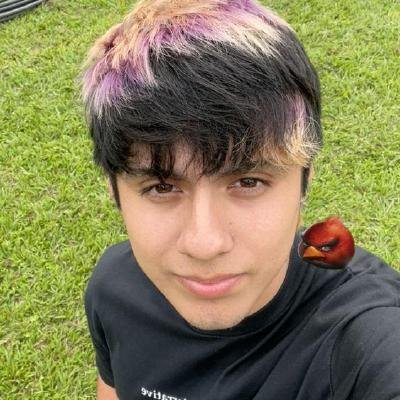 Francisco Mendoza